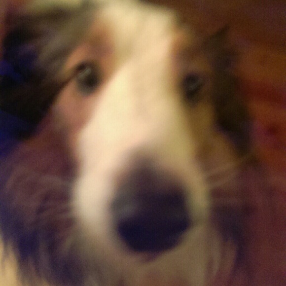 haleyheh