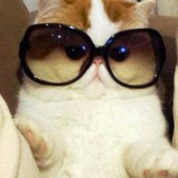 nbfizzle