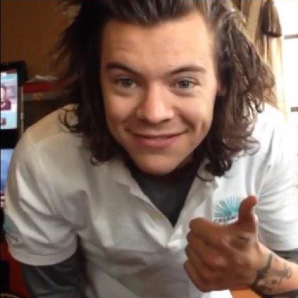 harrystyl3s