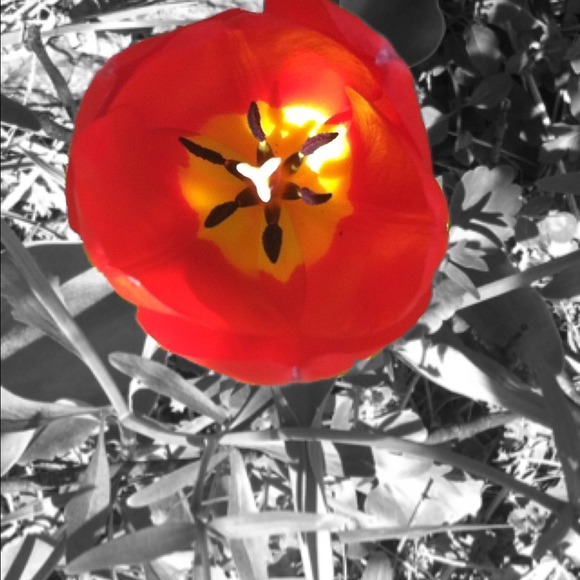 autumn1434_