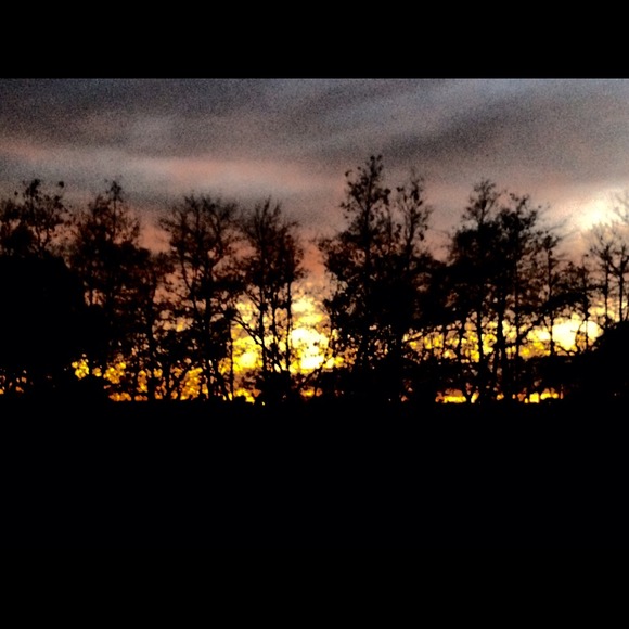 nloughery