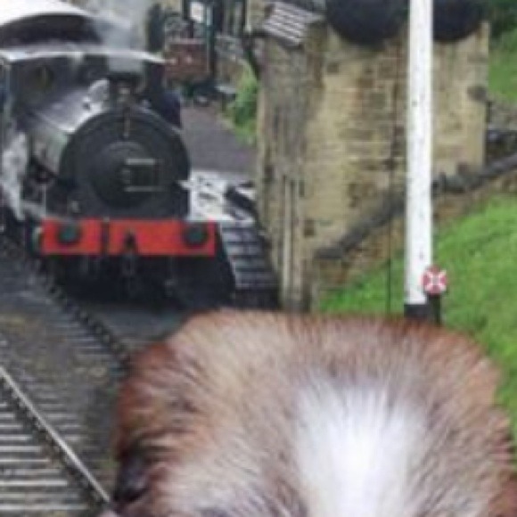 poagola27