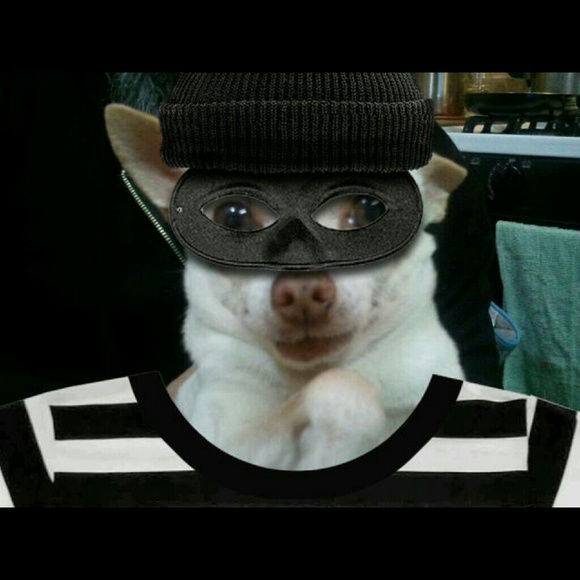 Poshmark profile picture for @own