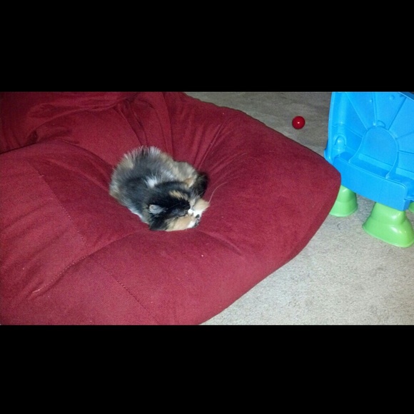 meggie0820