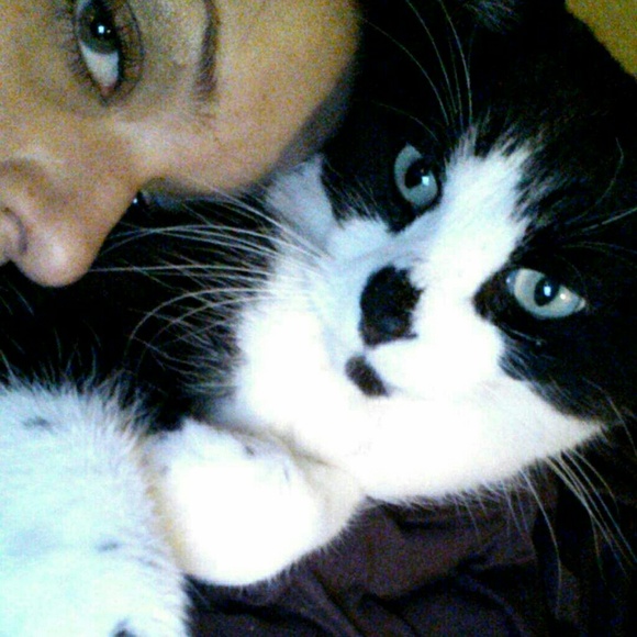 kitty651