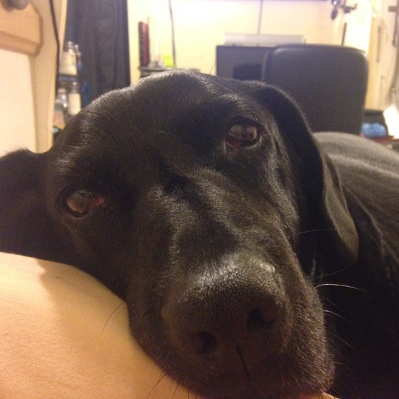 pepper0331