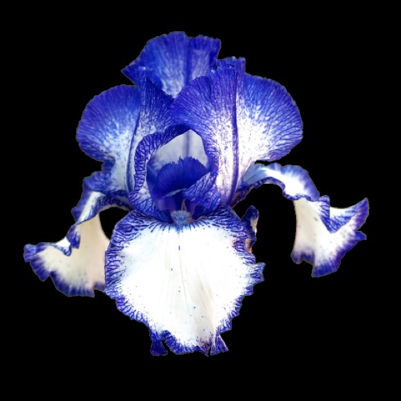 tralalalola