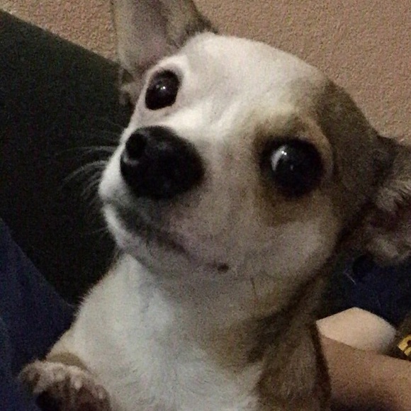 hugaserena