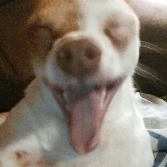 sierrabb2