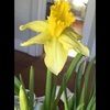 kim_stpete