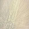 braylin_shelton