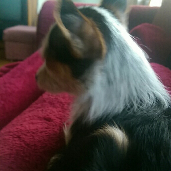 erinbooky