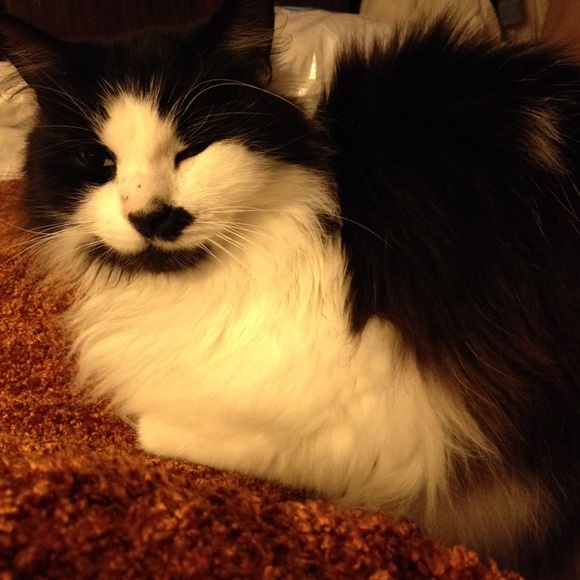 catewaybright1