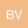 bv0307