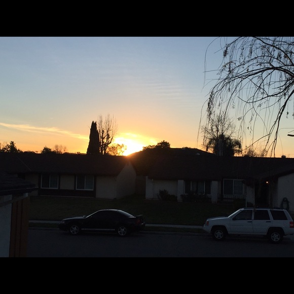 carolynq7