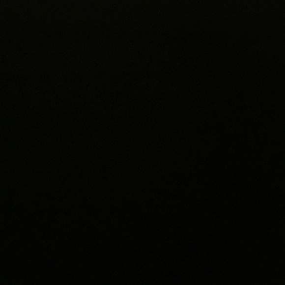 ilexibyrd