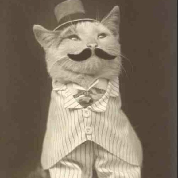 cats_rule