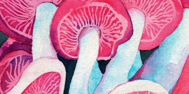 Poshmark banner for @disgrace