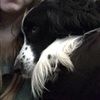 haleyjohnson04