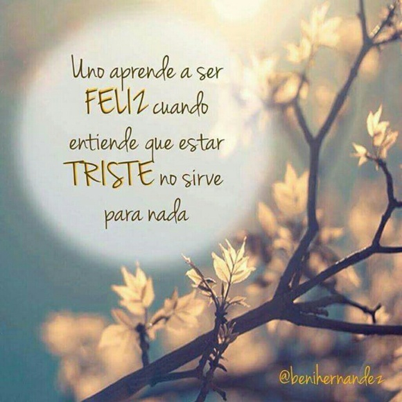 osmendoza21