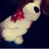 ashbear25628
