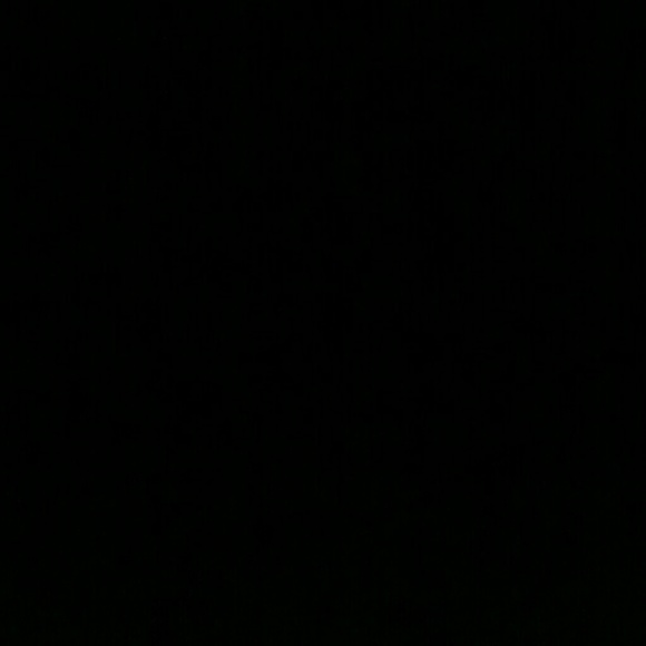 clashingnutsdav