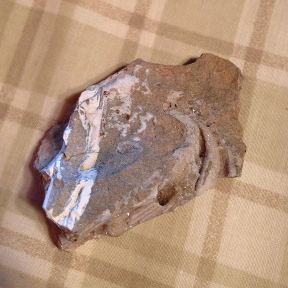 cmcholakian