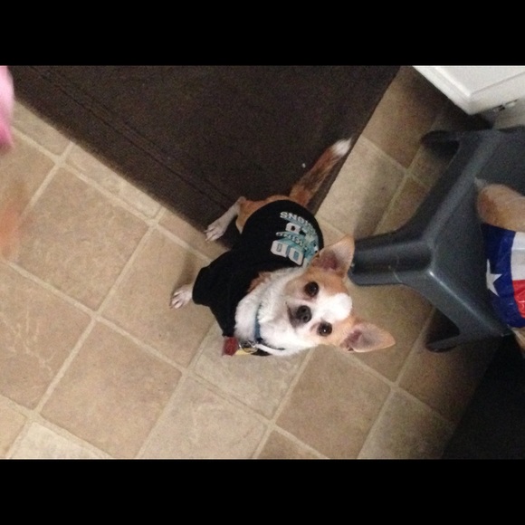 emme_h123