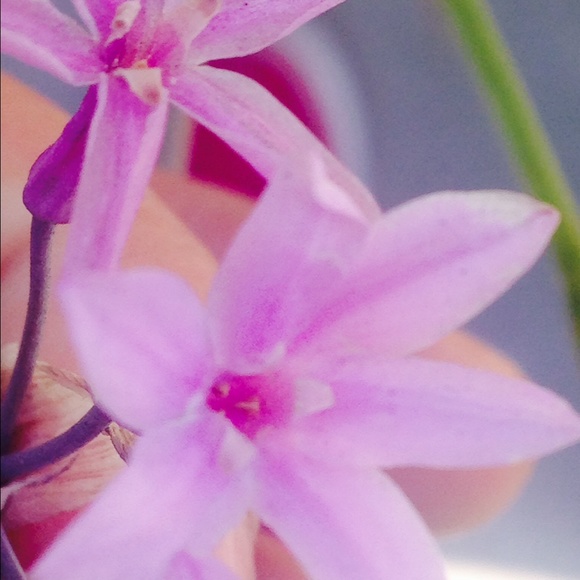 yesseniablue