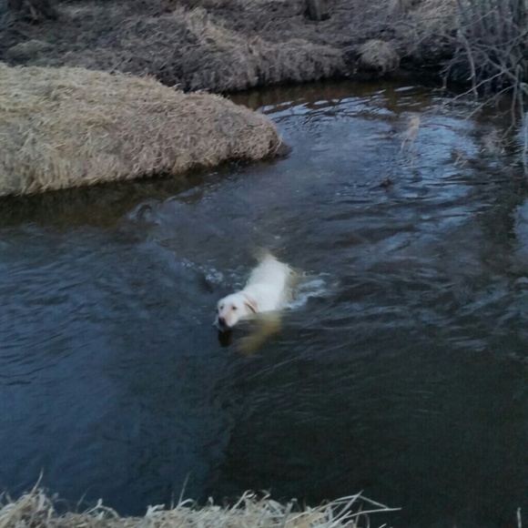 julie060309