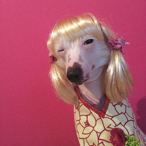 wowazucchini