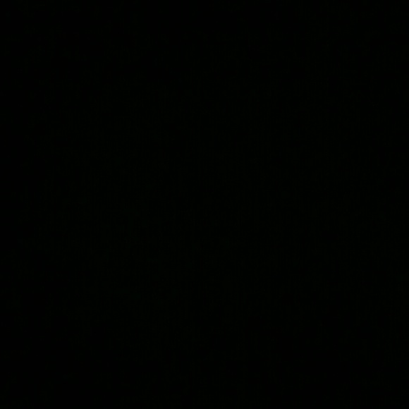 bkjkidd5