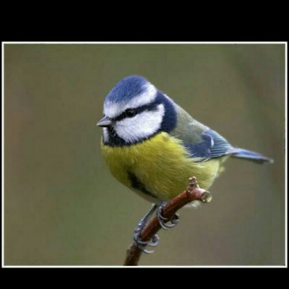 swag420yermum