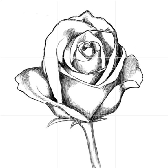 Poshmark profile picture for @mirzz
