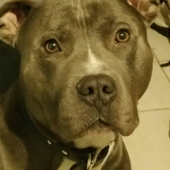 droskkee