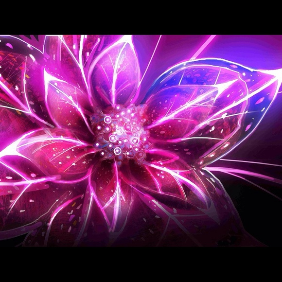 daisyeli