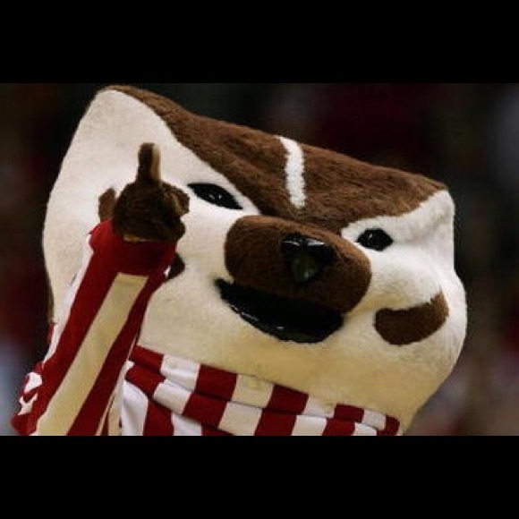 buckybadger