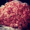 luxfindsbym