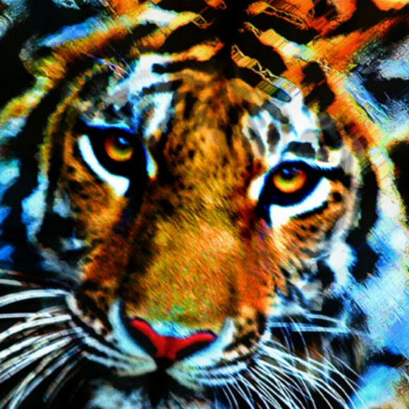 thomas_h3
