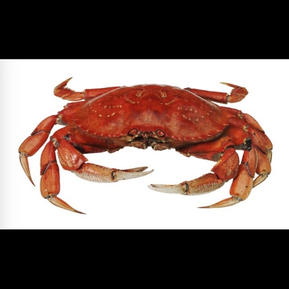 enlistedcrab