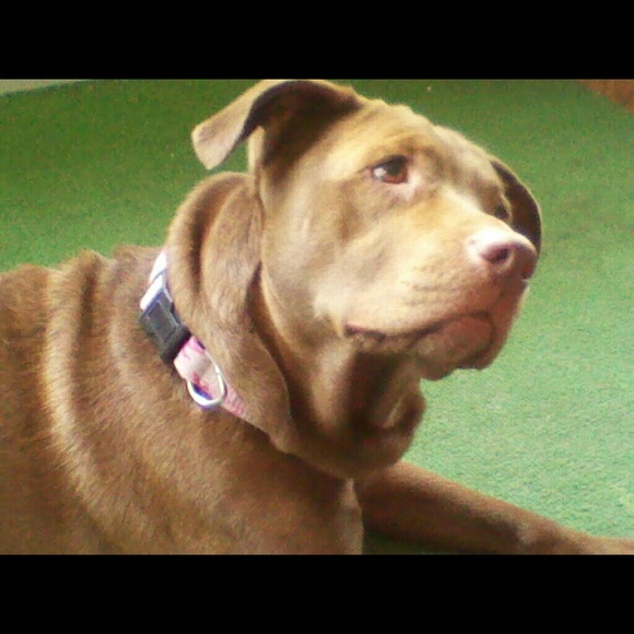 meredithbillups