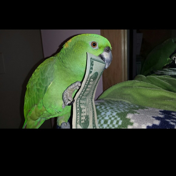 diannnnnnnnnna