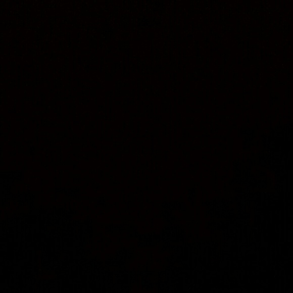 svazqui241