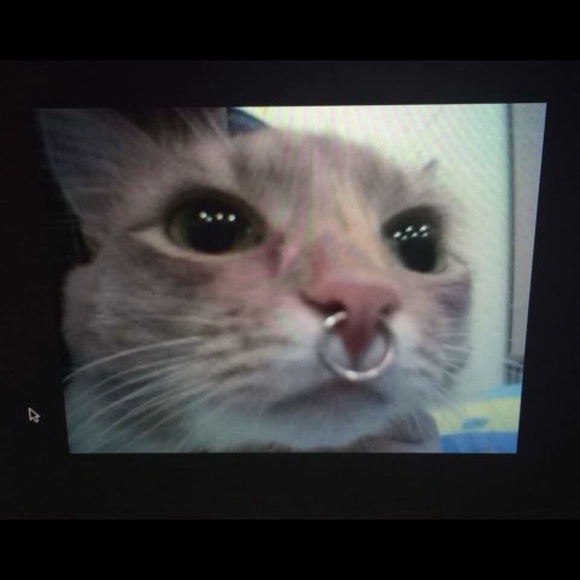 Poshmark profile picture for @unworthy