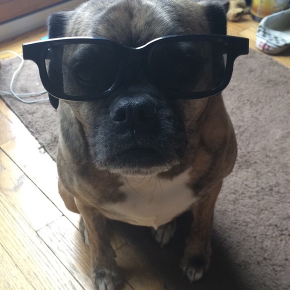 zoedog36
