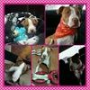 jaqueline89a