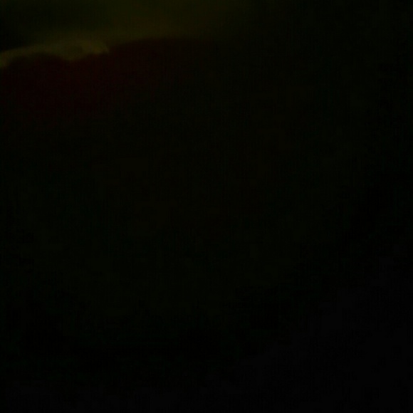 trvllaa
