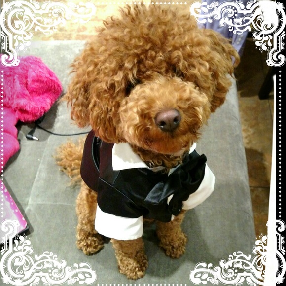 lisascloset07