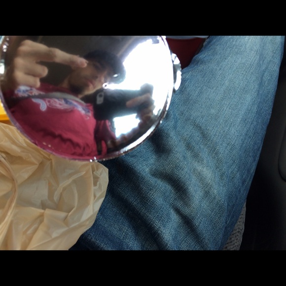 bluntboyfern