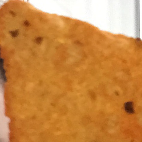octopoosy